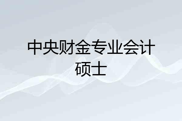 中央财金专业会计硕士