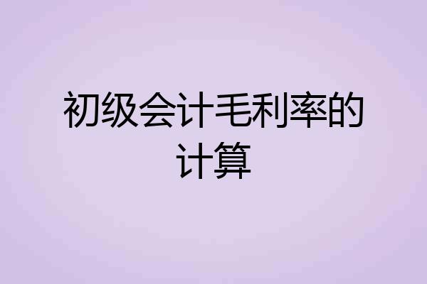 初级会计毛利率的计算