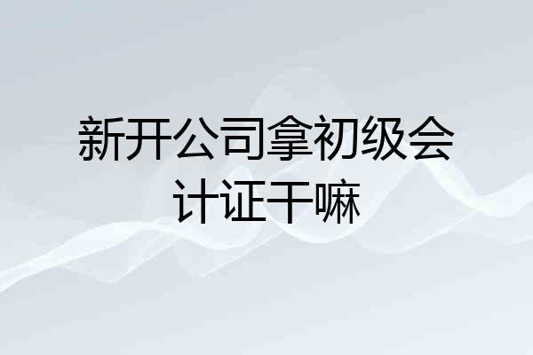 新开公司拿初级会计证干嘛