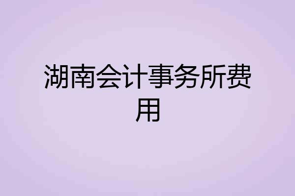 湖南会计事务所费用