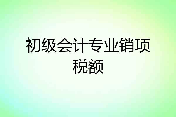 初级会计专业销项税额