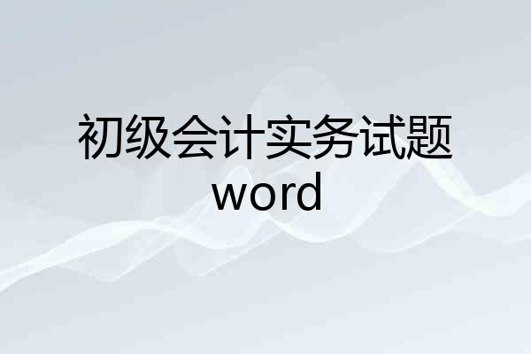 初级会计实务试题word