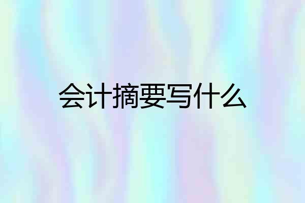 会计摘要写什么