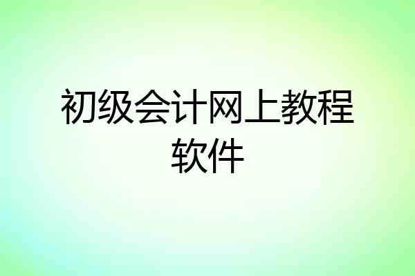 初级会计网上教程软件