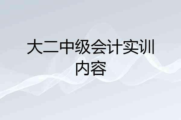大二中级会计实训内容