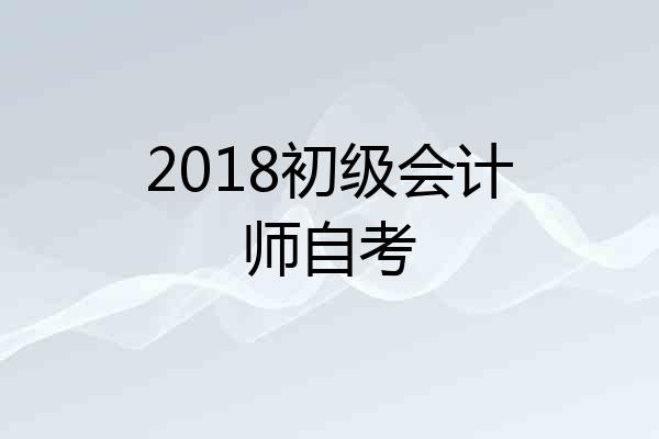 2018初级会计师自考
