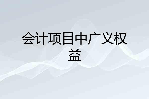 会计项目中广义权益