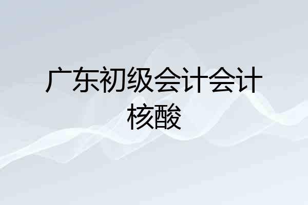 广东初级会计会计核酸