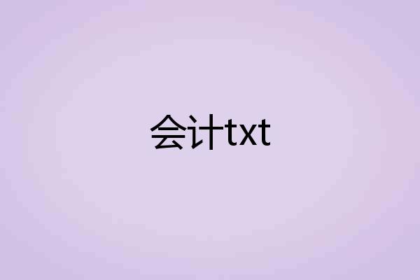 会计txt