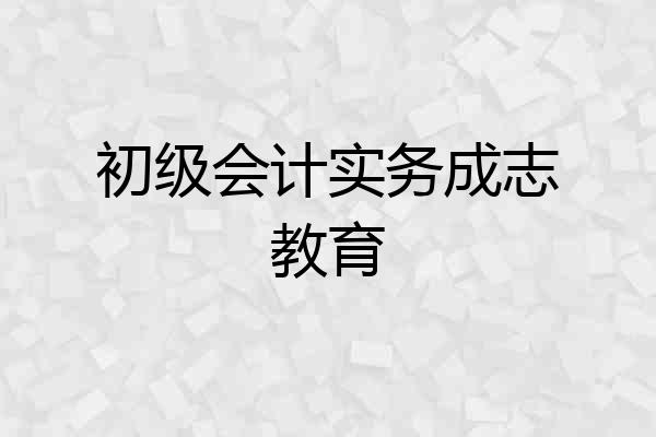 初级会计实务成志教育