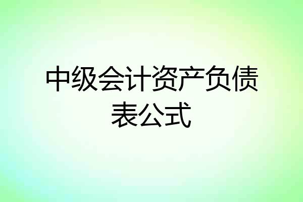 中级会计资产负债表公式