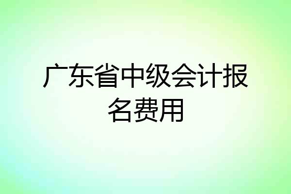 广东省中级会计报名费用