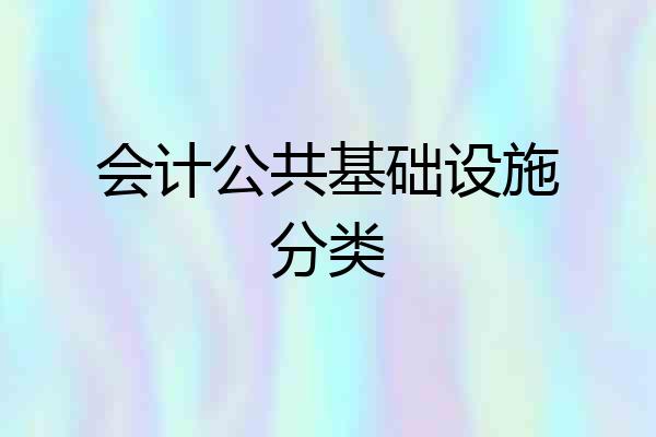 会计公共基础设施分类
