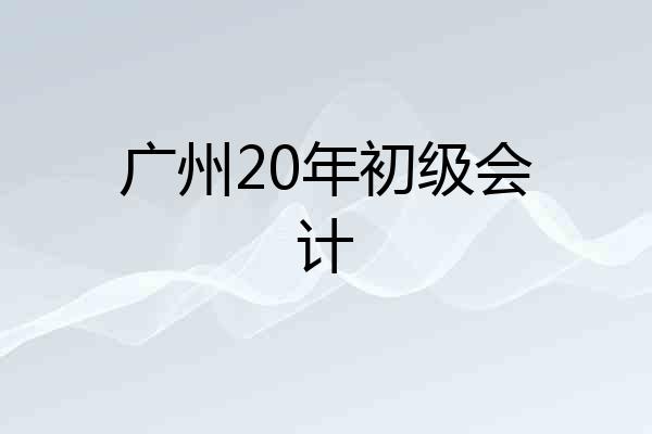 广州20年初级会计