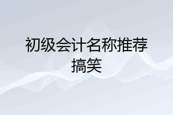 初级会计名称推荐搞笑