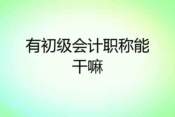 有初级会计职称能干嘛