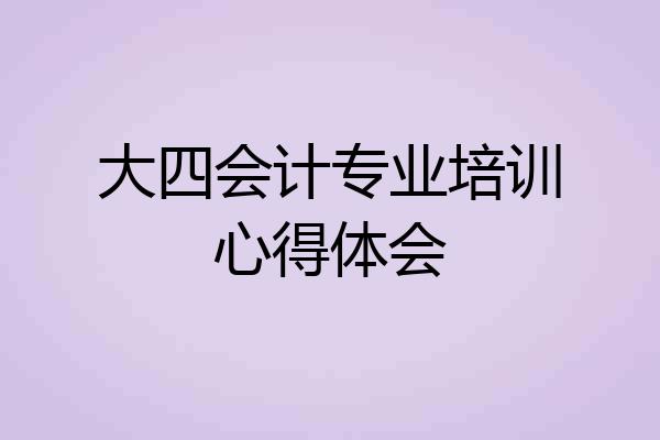 大四会计专业培训心得体会