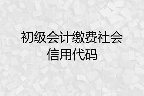 初级会计缴费社会信用代码