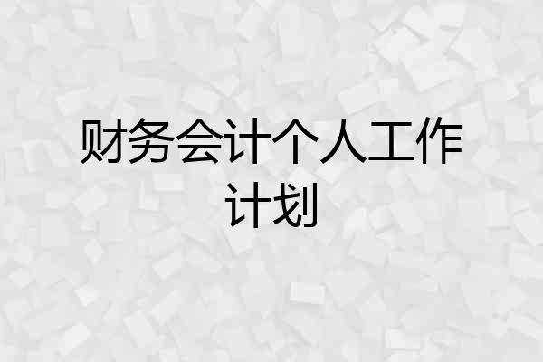 财务会计个人工作计划