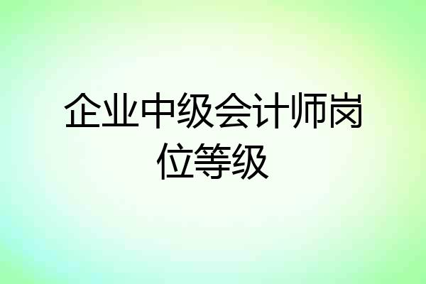 企业中级会计师岗位等级