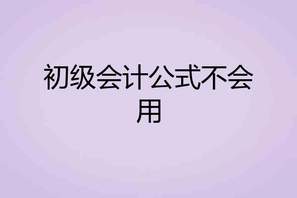 初级会计公式不会用