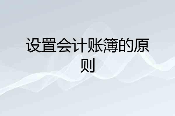 设置会计账簿的原则