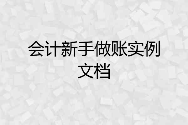 会计新手做账实例文档