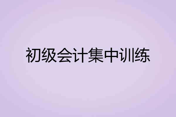 初级会计集中训练