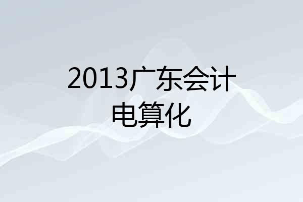 2013广东会计电算化