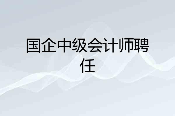 国企中级会计师聘任