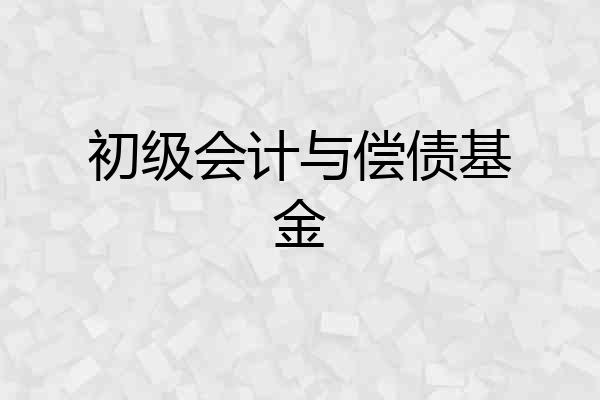初级会计与偿债基金