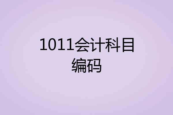 1011会计科目编码