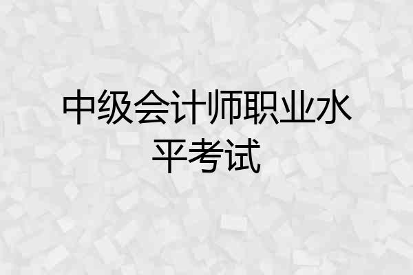 中级会计师职业水平考试