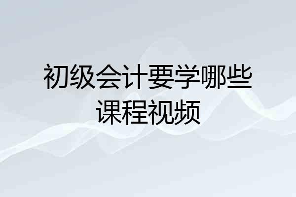 初级会计要学哪些课程视频