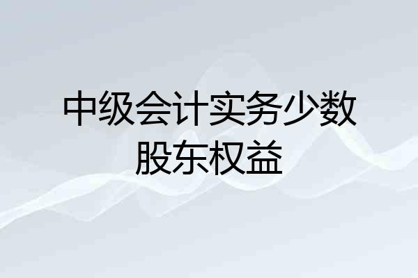 中级会计实务少数股东权益