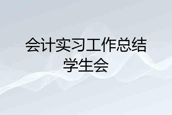会计实习工作总结学生会