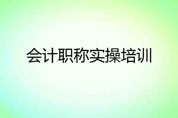 会计职称实操培训