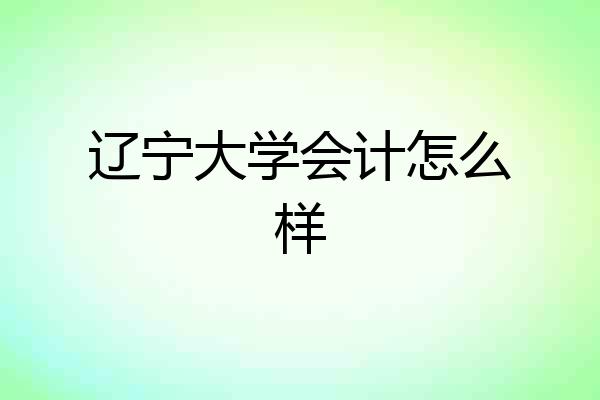 辽宁大学会计怎么样