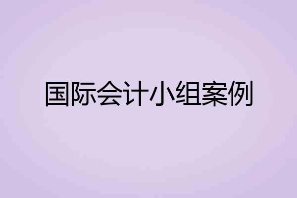 国际会计小组案例