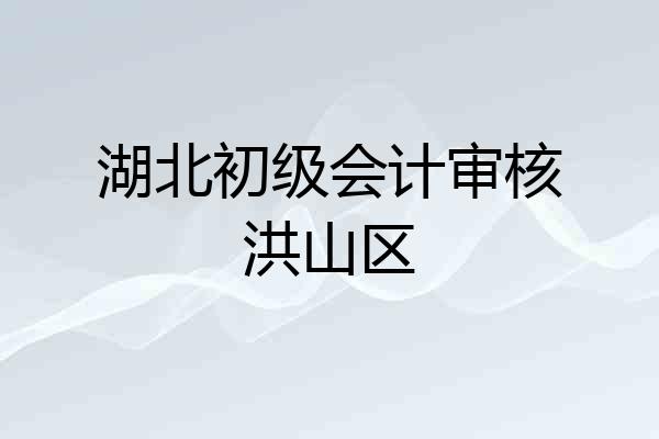 湖北初级会计审核洪山区