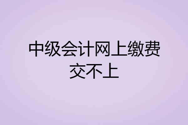 中级会计网上缴费交不上