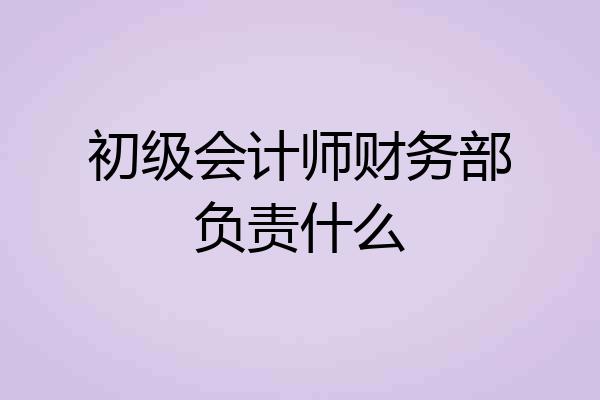 初级会计师财务部负责什么