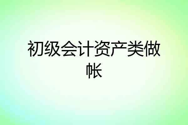 初级会计资产类做帐