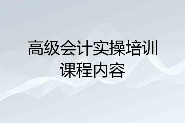 高级会计实操培训课程内容