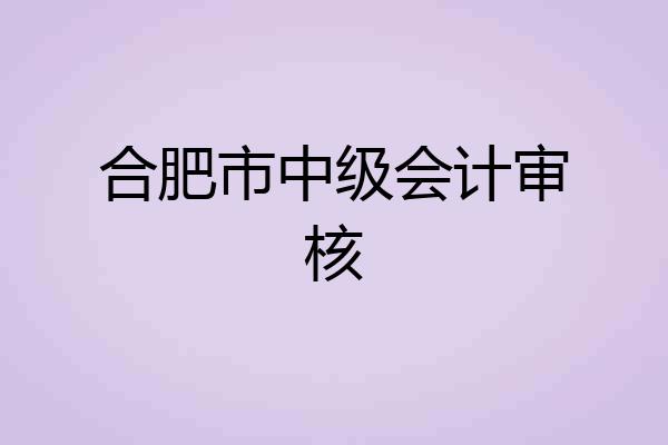 合肥市中级会计审核