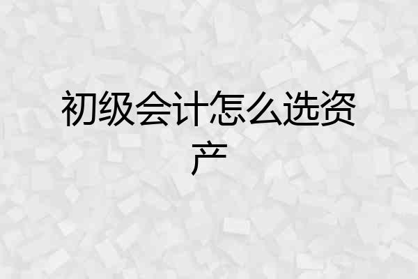 初级会计怎么选资产