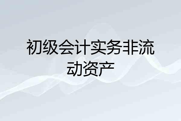 初级会计实务非流动资产