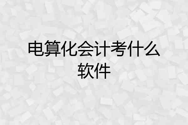 电算化会计考什么软件