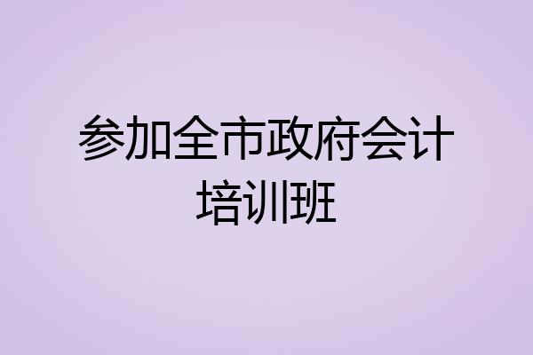 参加全市政府会计培训班