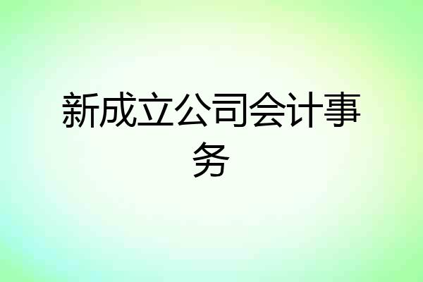 新成立公司会计事务
